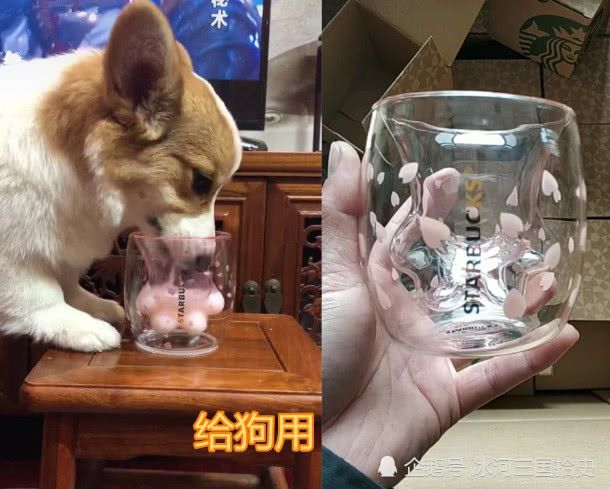 维基体育：猫爪杯能用来干啥网友晒出自己的用法这下星巴克也得服气了(图2)