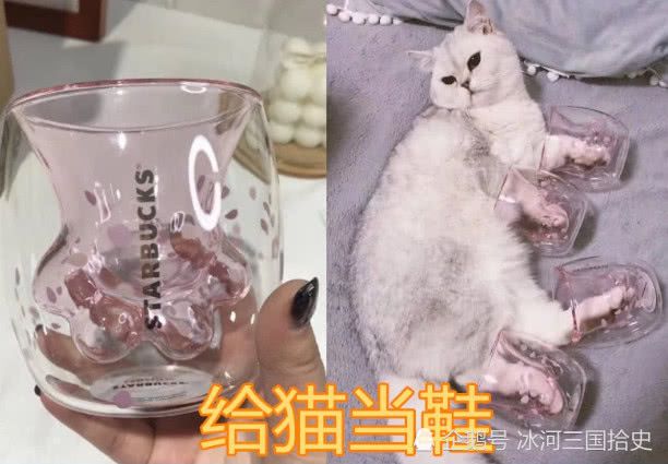 维基体育：猫爪杯能用来干啥网友晒出自己的用法这下星巴克也得服气了(图3)